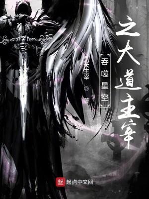 吞噬星空之大道主宰TXT