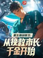 重生急诊科医生之圣手