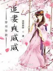 帝君追妻录txt