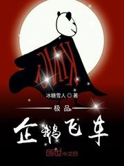 企鹅飞车制造商