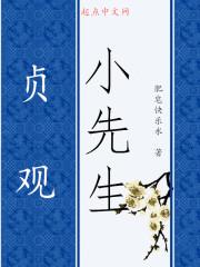 贞观小先生txt