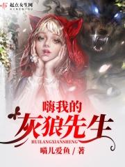 灰狼先生武器