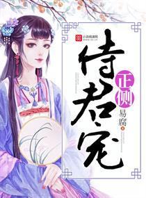 正君侧君侍君