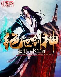 绝世剑神林辰全文免费