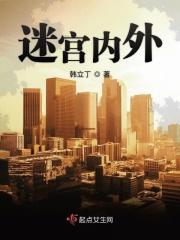 迷宫形状