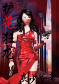 护花狂龙易军几个老婆