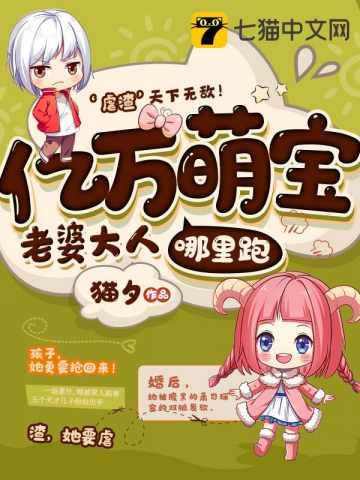 一胎七宝老婆大人哪里跑电视剧