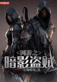 网游之盗贼诡影