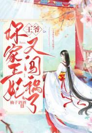 你家王妃又去打劫了