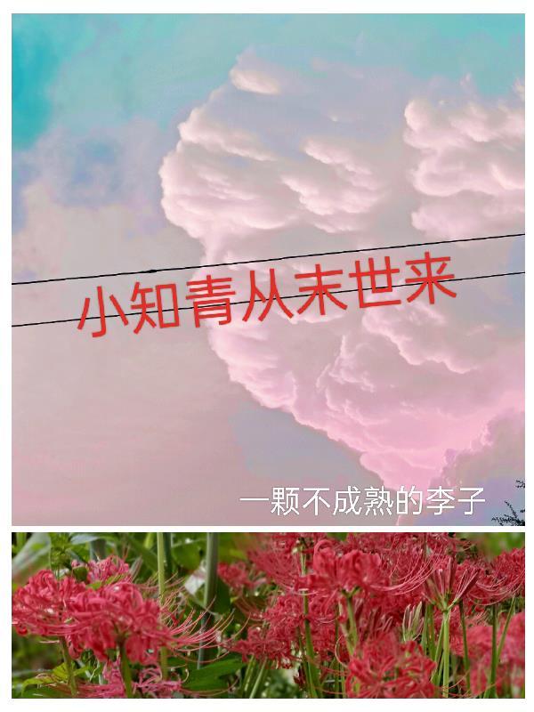 知青来自末世免费