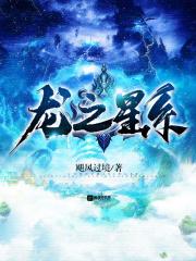 龙之心公司