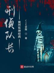 刑警队长是一集一个案子吗