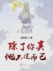 除了你其他不过而已是什么歌
