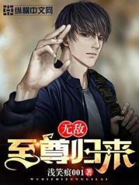 无敌至尊系统
