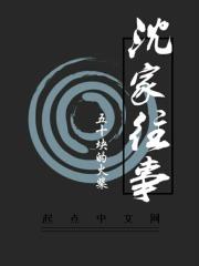 电视剧沈家大院简介