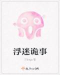 浮城谜事 百科