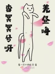 查冥冥兮羌晦这句怎么读