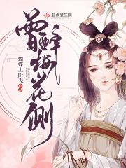 曾为梅花醉不归文字破解版