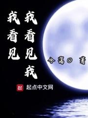 我看见了我歌词