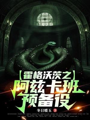 霍格沃茨之阿兹卡班预备役免费阅读