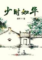 少时年华什么意思