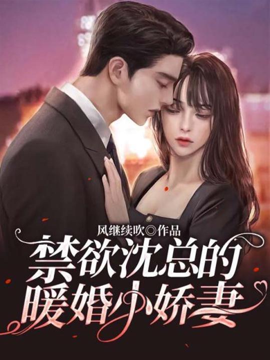 沈总的提婚小娇妻