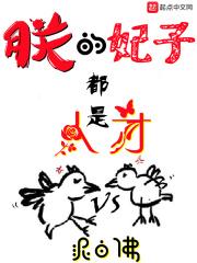 朕的妃子都是人才几个老婆