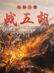 回到三国去捣乱