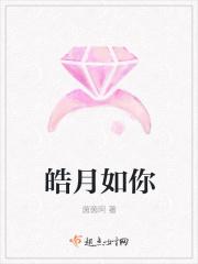 士如皓月