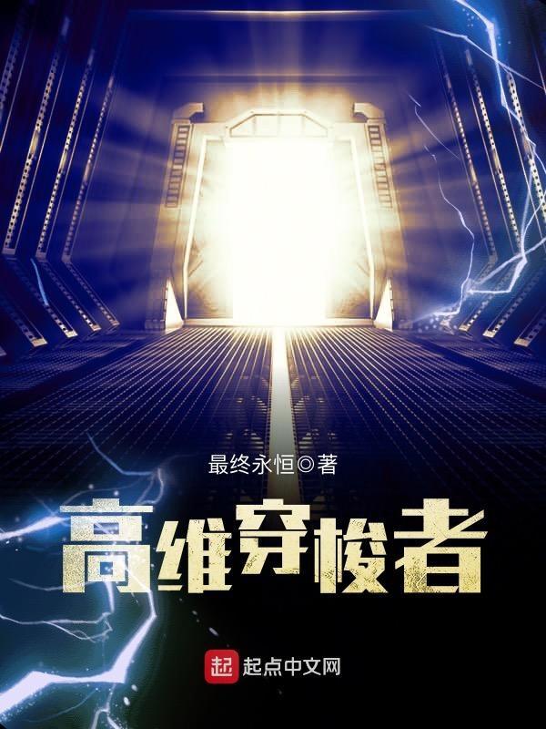 高维穿梭者 作者最终永恒