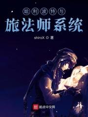 哈利波特魔法石