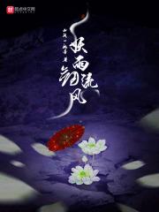 妖雨剑流风的作者其他作品