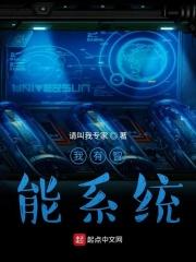 我有一个智能系统