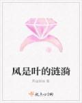 风是树叶的梳子