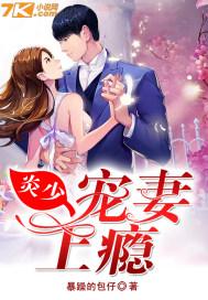 炎少宠妻上瘾免费阅读