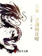 写穿越到大秦的