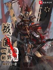 战国一足轻的野望txt