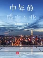 中年成功叫什么