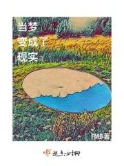 梦想变成了现实