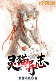 灵猫创意科技有限公司