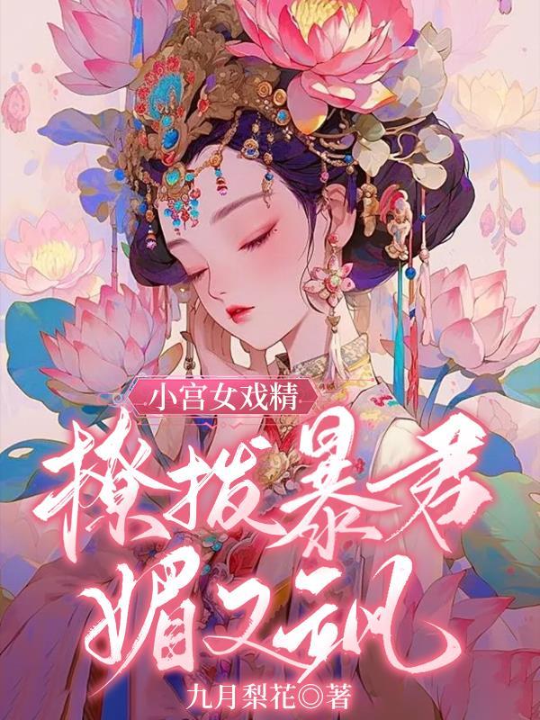 小宫女与皇上的