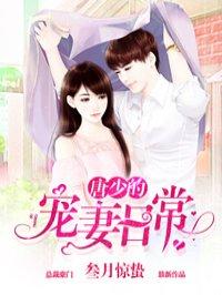 唐少宠妻入骨全文