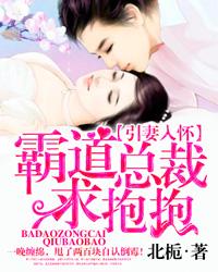 引妻入怀霸道总裁求抱抱未删减版