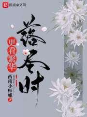 看尽繁华落幕是什么意思