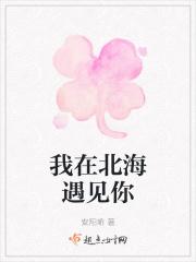我在北海遇见你演员表