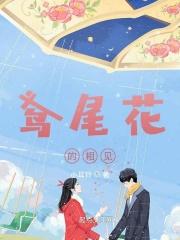 鸢尾花花语是什么?