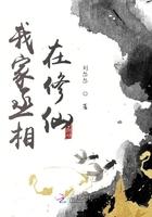 我家丞相又在担保