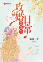 聂先生攻婚日常 一醉经年