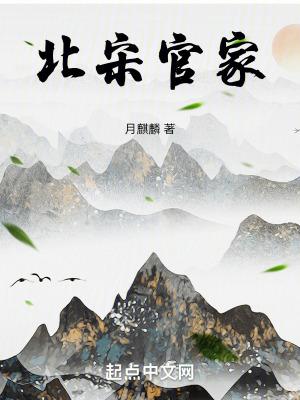 北宋官家TXT免费全本