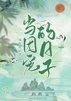 咸鱼在后宫当团宠的日子 银瓶